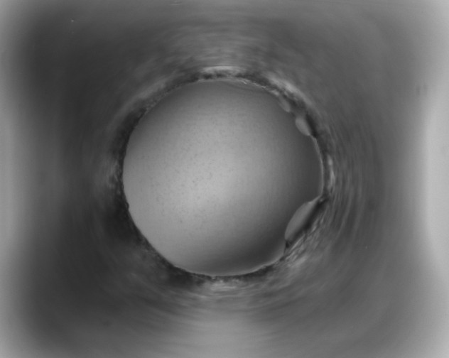 X0000088381351200706051052