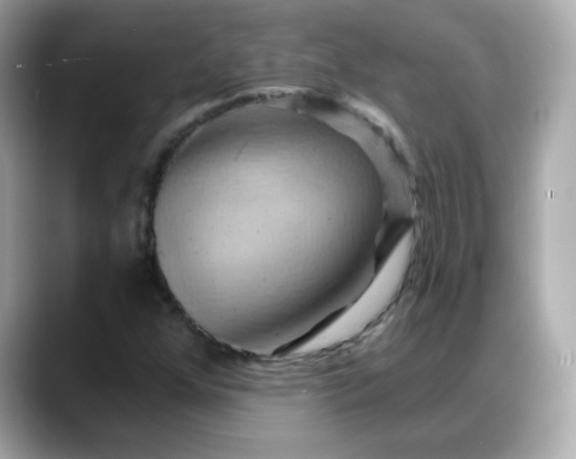 X0000088381352200706051052