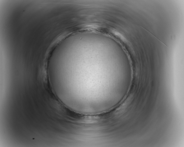X0000088381354200706051052