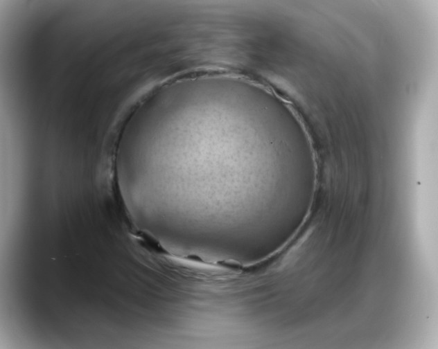 X0000088381355200706051052