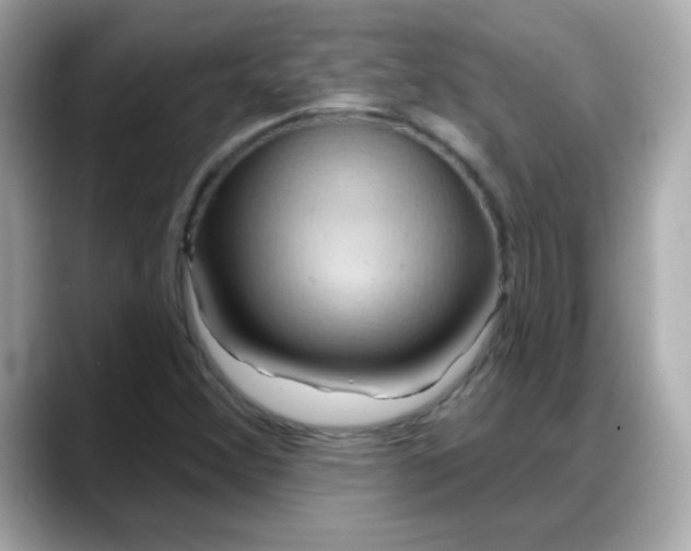 X0000088381356200706051052