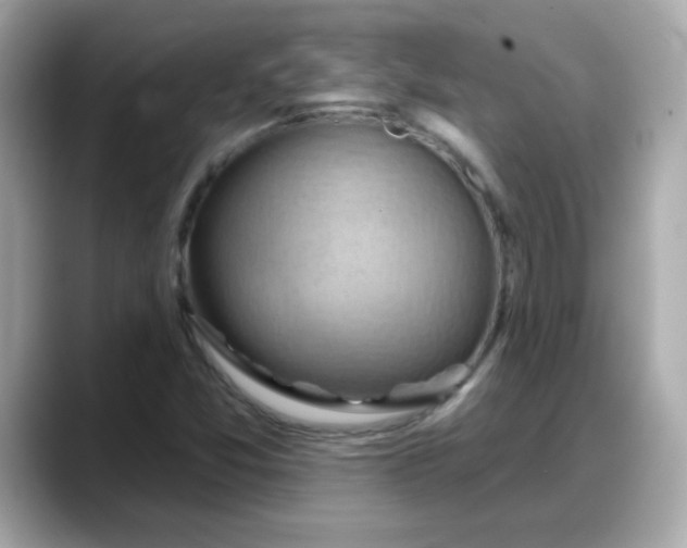 X0000088381357200706051052