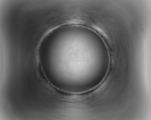 X0000088381358200706051052