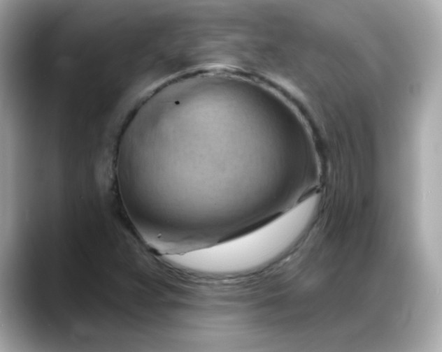 X0000088381359200706051052