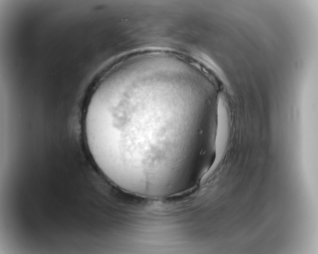 X0000088381360200706051052