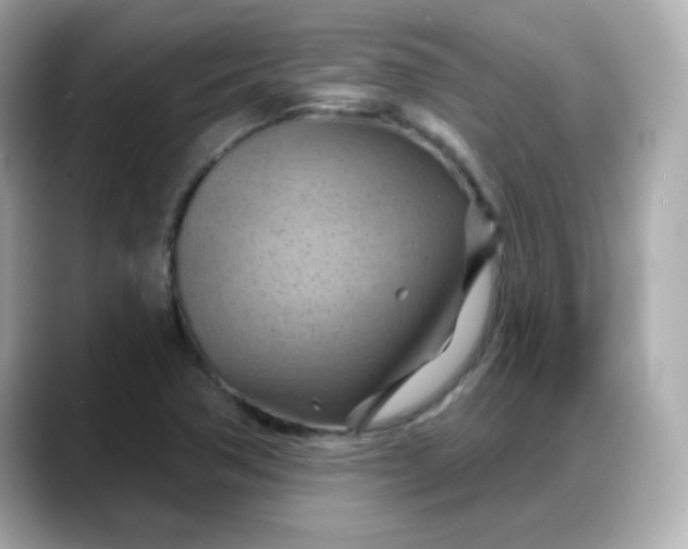 X0000088381362200706051052
