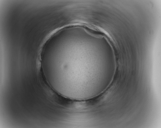 X0000088381363200706051052