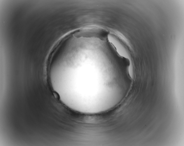 X0000088381364200706051052