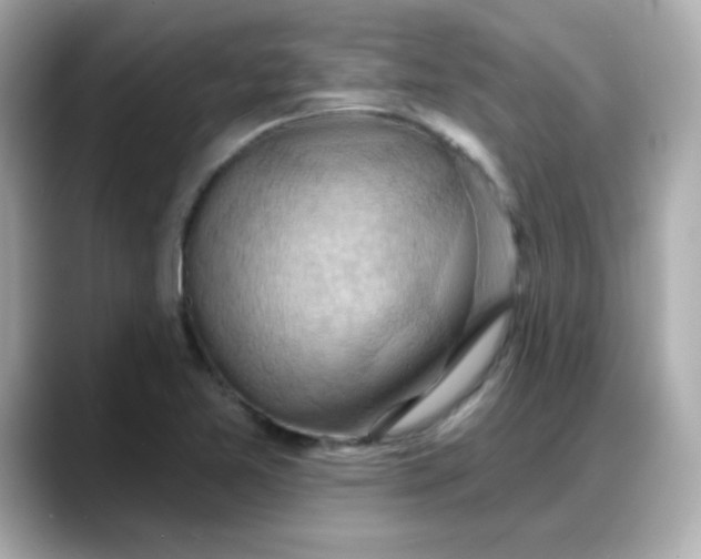 X0000088381365200706051052