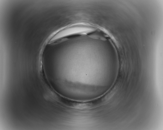 X0000088381367200706051052