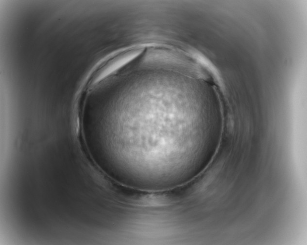 X0000088381368200706051052
