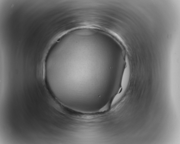 X0000088381371200706051052