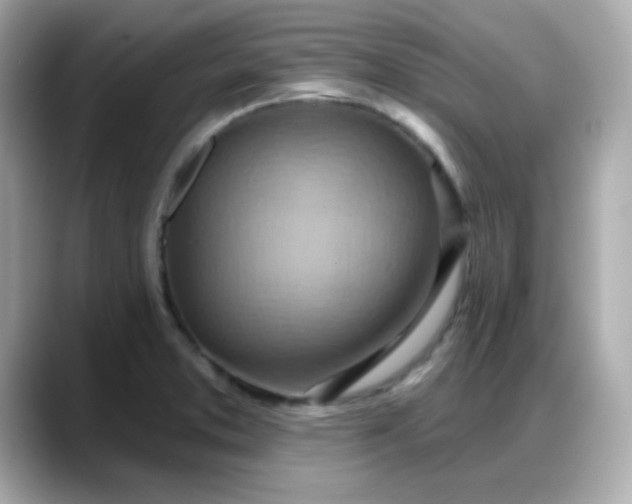 X0000088381373200706051052