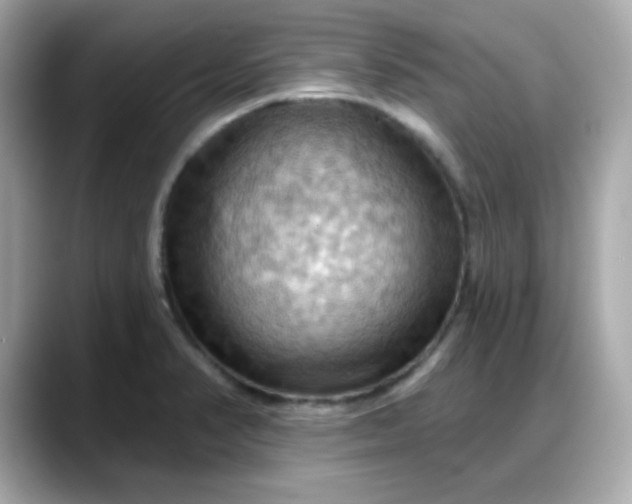 X0000088381374200706051052