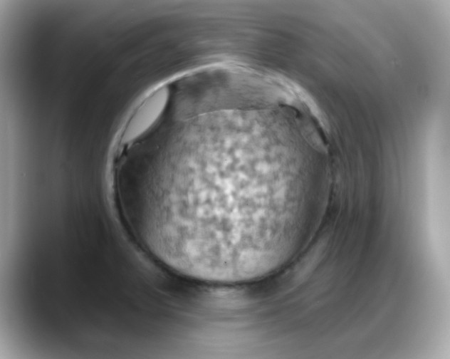 X0000088381375200706051052