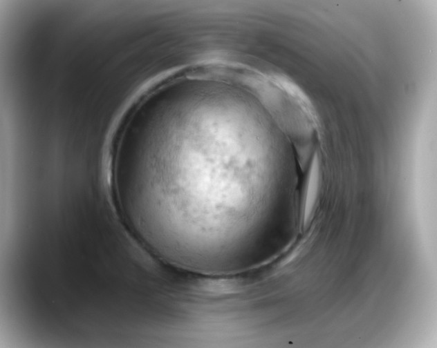 X0000088381376200706051052