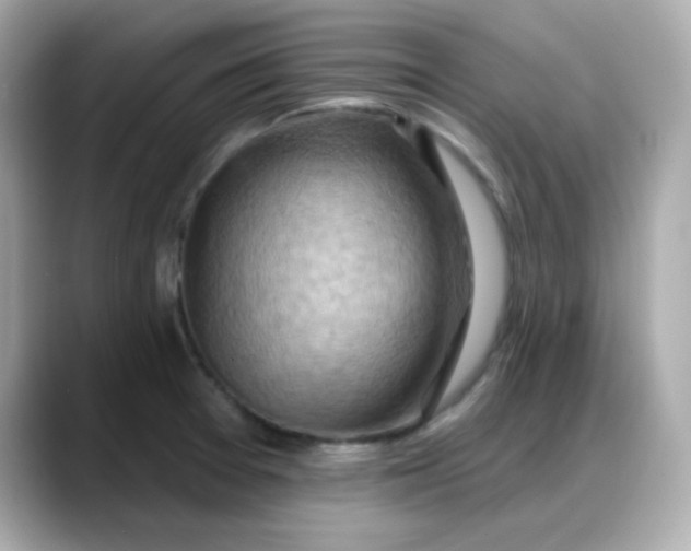 X0000088381377200706051052