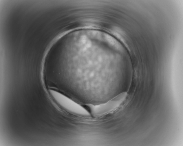 X0000088381379200706051052