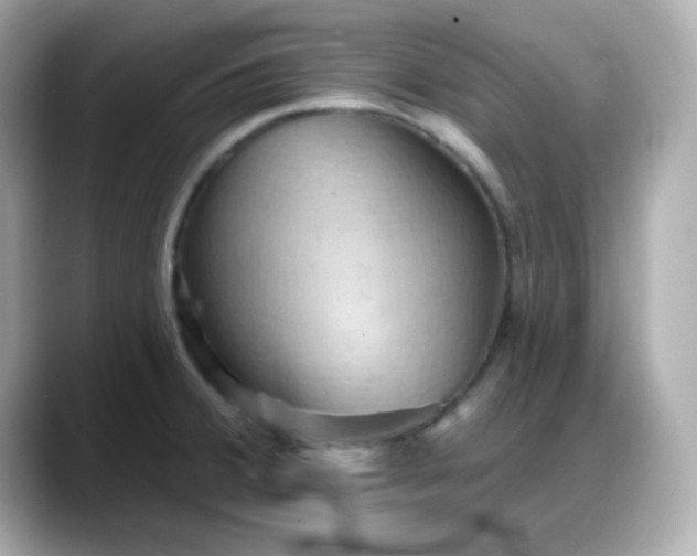 X0000088381380200706051052