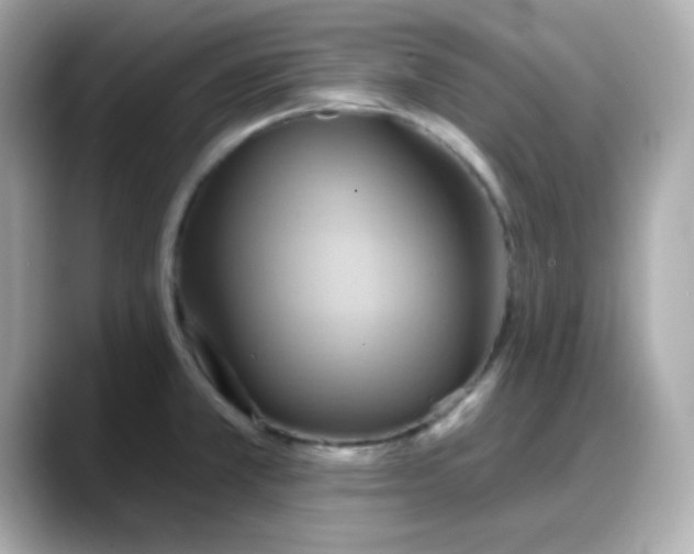 X0000088381381200706051052