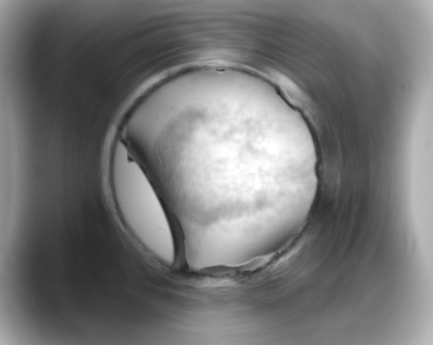 X0000088381384200706051052