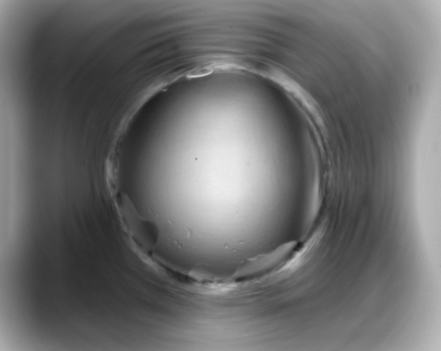 X0000088381385200706051052