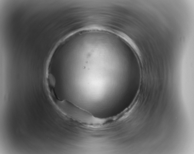 X0000088381388200706051052