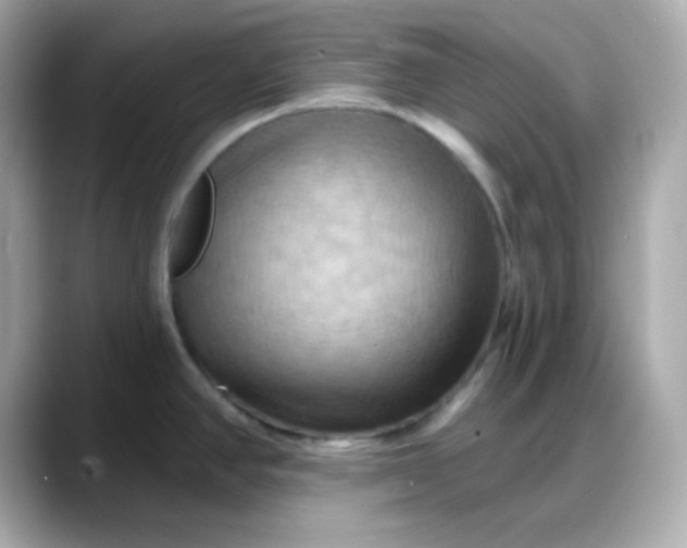 X0000088381390200706051051