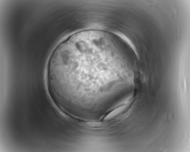 X0000088381391200706051051