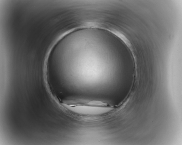 X0000088381392200706051051