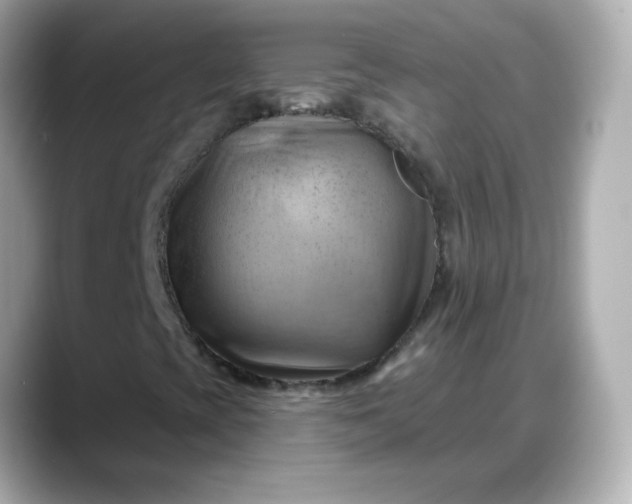 X0000088381393200706051051