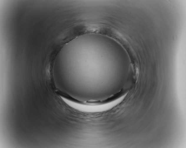 X0000088381394200706051051