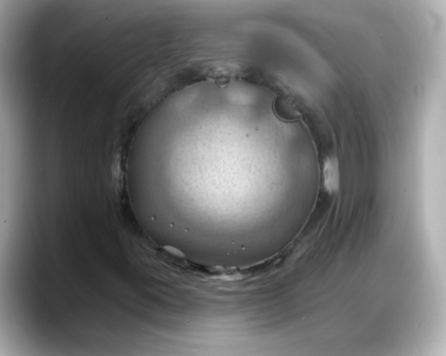 X0000088381395200706051051