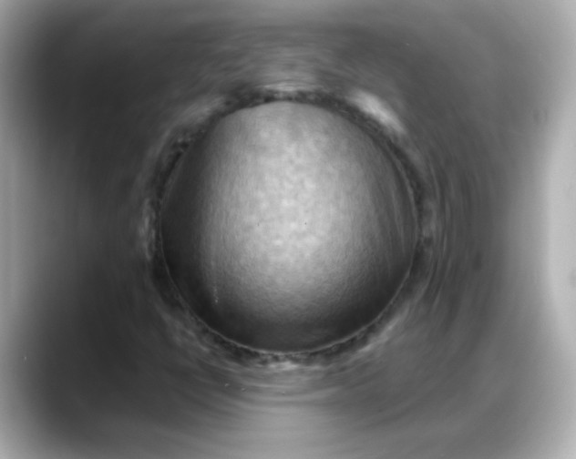 X0000088381398200706051051