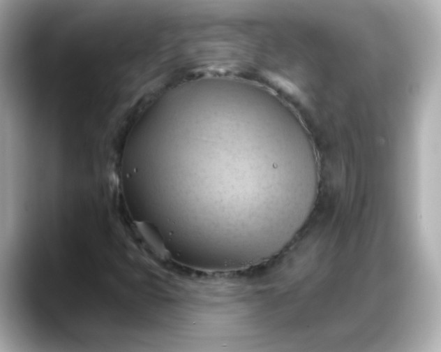 X0000088381399200706051051