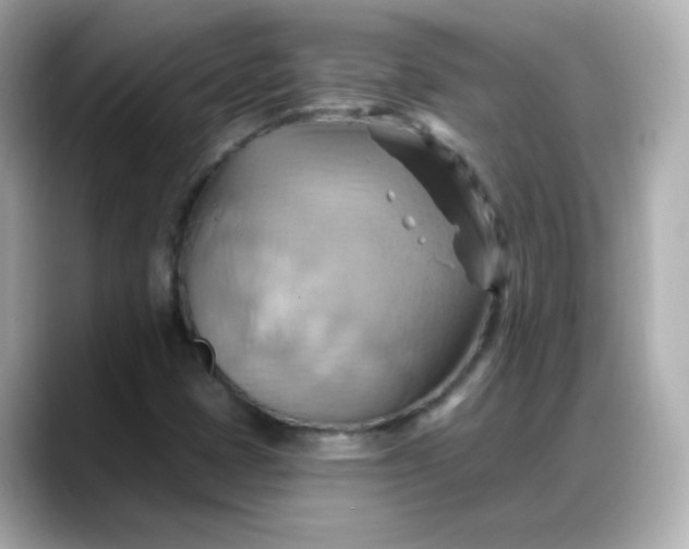X0000088381401200706051051