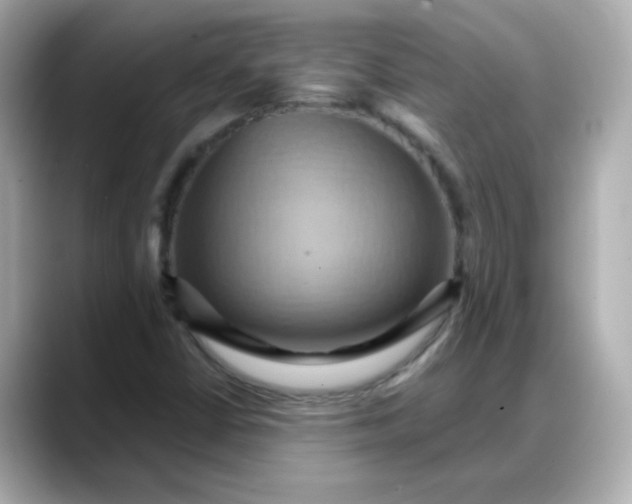 X0000088381402200706051051