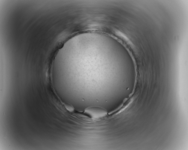 X0000088381403200706051051