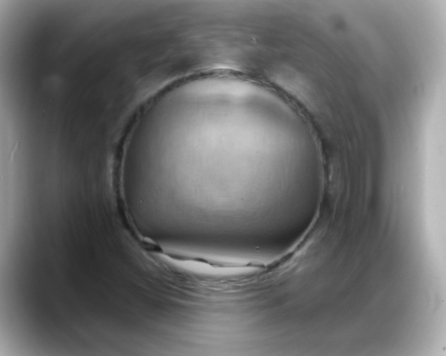 X0000088381404200706051051
