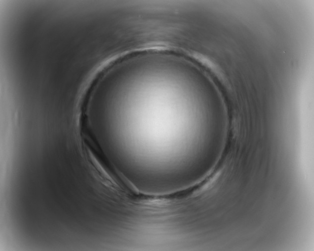 X0000088381406200706051051