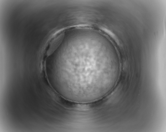 X0000088381407200706051051