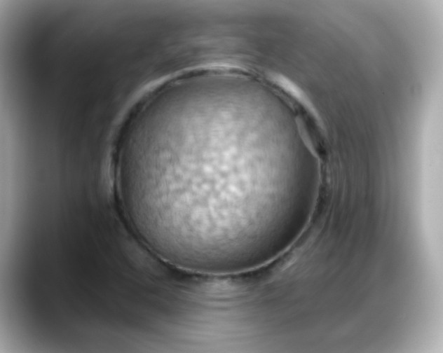 X0000088381408200706051051