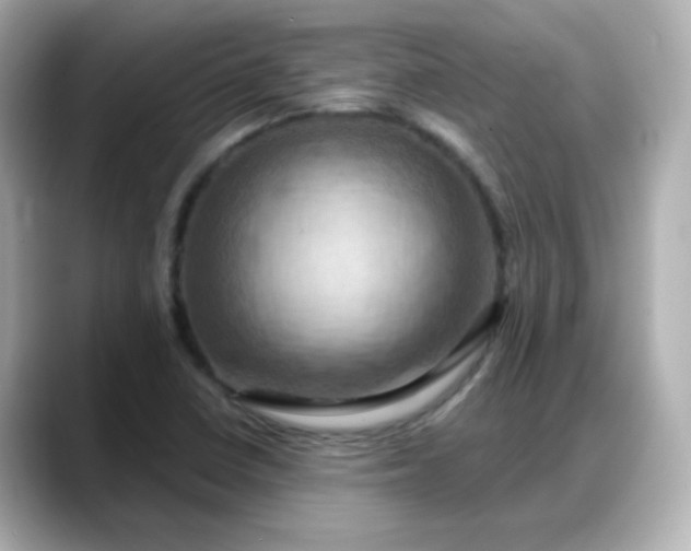 X0000088381410200706051051