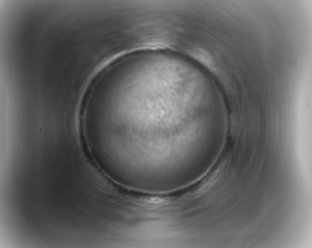 X0000088381412200706051051