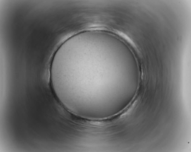 X0000088381413200706051051