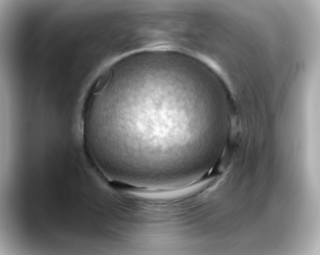 X0000088381414200706051051