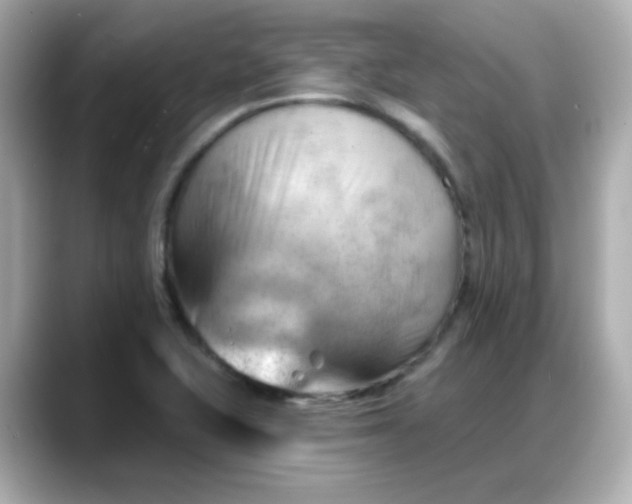 X0000088381415200706051051