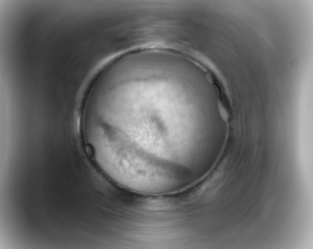 X0000088381416200706051051