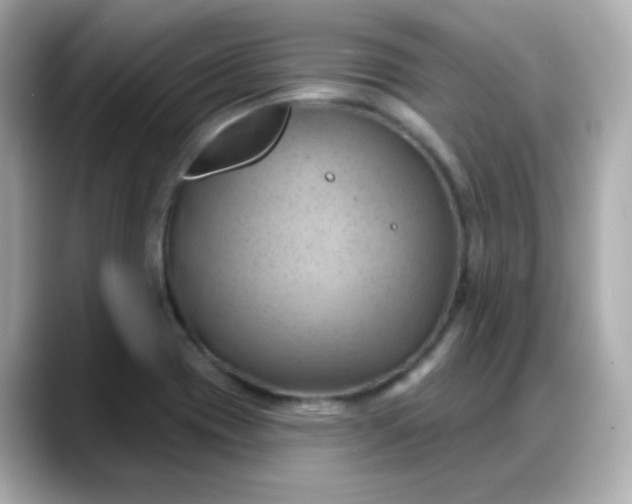 X0000088381417200706051051