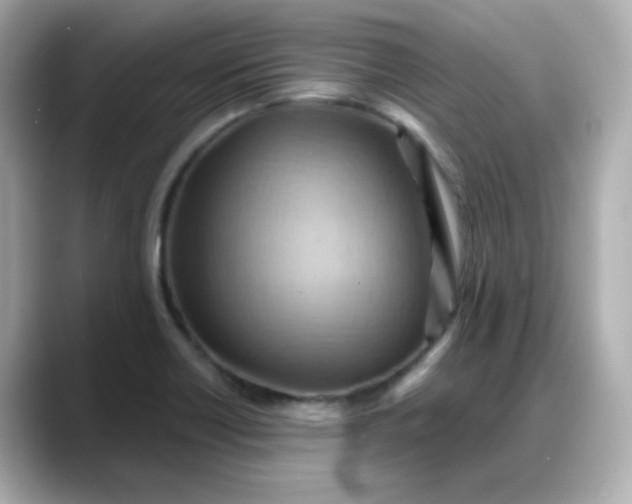 X0000088381418200706051051